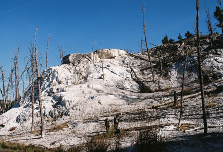 [Geyer buildup coming down a hillside.]